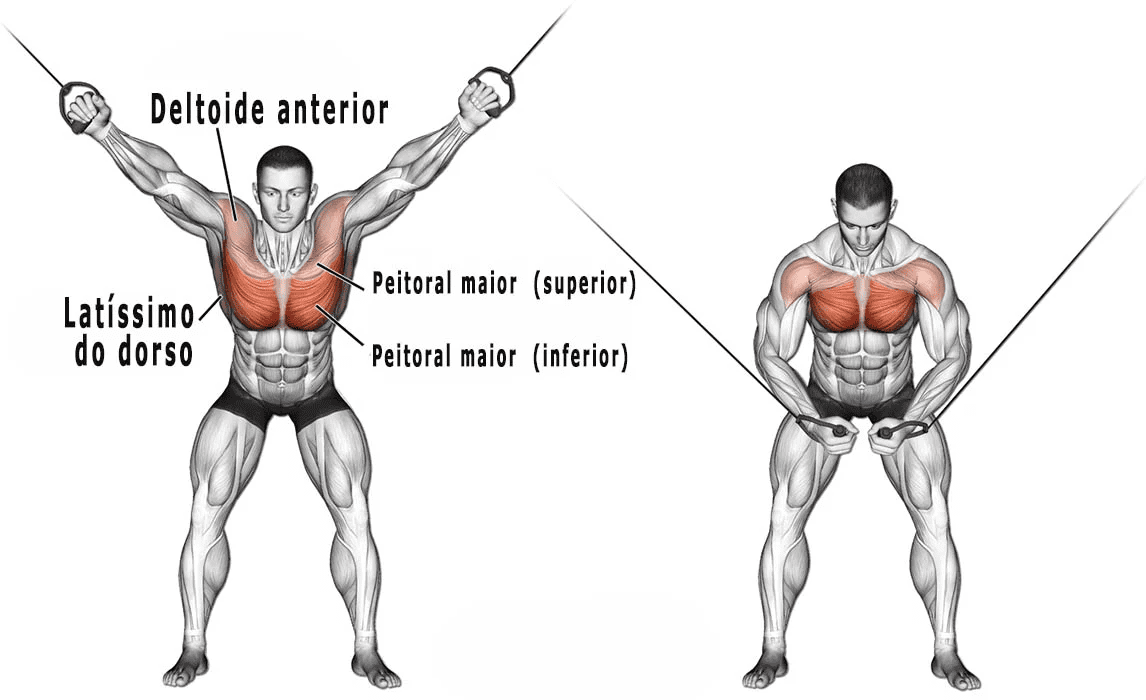 supino inclinado articulado  Supino, Exercícios, Tríceps